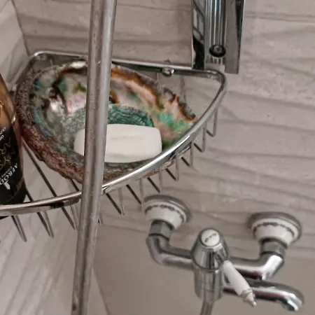 Apartamento Charming Split